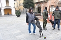 VBS_3754 - Quattordicesimo Raduno Nazionale dei Tabui 2024